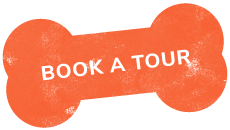 https://dogboardingcleveland.com/wp-content/uploads/2019/07/text_03.png