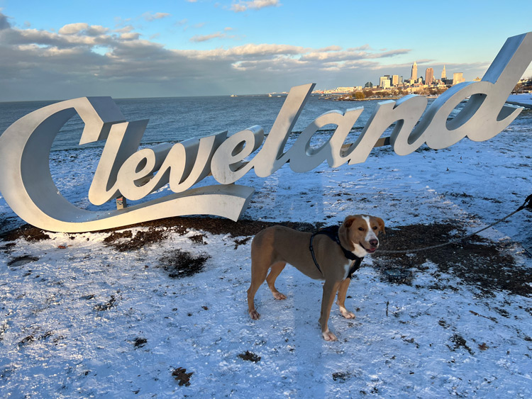 cleveland_dogs