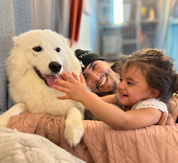 dog_home